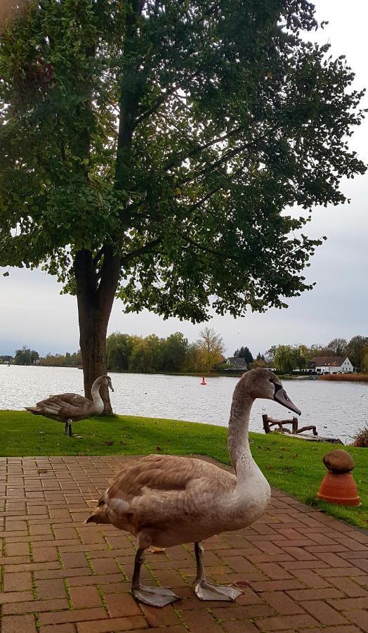 Ferienanlage Pritzerbe Kültér fotó